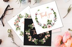 Eucalyptus. Big floral collection. Product Image 8