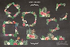 Tropical Watercolor Clipart Frames Border Flamingo Flowers Hibiscus Product Image 4