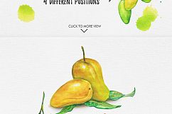 Watercolor Fruits Vol. 2 Product Image 6