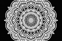 Lace_pattern_01 Product Image 8