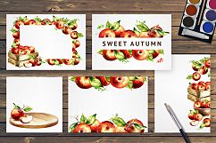Sweet autumn. Apples set Product Image 4