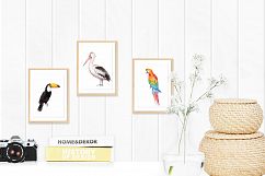 Assorted Birds Watercolor Clip Art Product Image 3