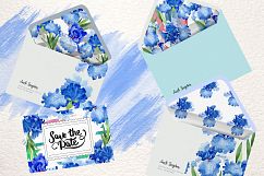 Blue bearded iris PNG watercolor set Product Image 7