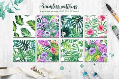 Tropical. Watercolor illustrations. Product Image 7