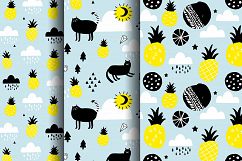 Black cat and pineapples Product Image 7