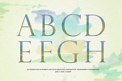 Watercolor Olive Branch Product Image 3