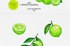 Watercolor Fruits Vol. 4 Product Image 4