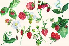 Watercolor Strawberry Clip art Product Image 2