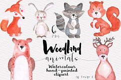 Woodland Animals Watercolor Set Product Image 1