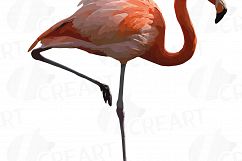 Watercolor Flamingos Clipart with watercolor leafs. 5 flamingos and 7 green leafs, flamingos and leafs collection, greenery, diy invitation Product Image 5