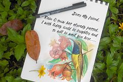 watercolor sun birds Product Image 3