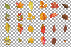 Autumn leafs watercolor clip art pack, watercolor fall frame Product Image 24