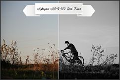 AGFA B&amp;W Films Profiles LR 7.3 ACR 10.3 Product Image 13