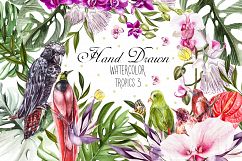 Hand Drawn Watercolor Tropic 3 Product Image 1
