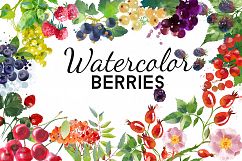 Watercolor berries Product Image 1