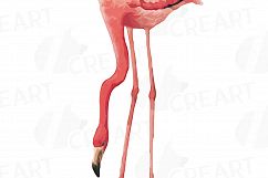 Watercolor Flamingos Clipart with watercolor leafs. 5 flamingos and 7 green leafs, flamingos and leafs collection, greenery, diy invitation Product Image 12
