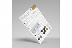 Business Plan Executive Summary Template Product Image 6