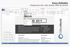 Alexandria Resume / CV Product Image 5