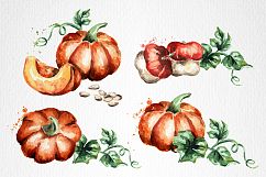 Pumpkin. Watercolor bundle Product Image 4