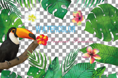 Tropical Paradise watercolor clip art pack, watercolor tropical leafs and flowers. Watercolor Toucan, PNG, jpg, svg, vector files included Product Image 15