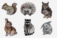 Woodland Animals Hand painted Clip Art Set Product Image 2