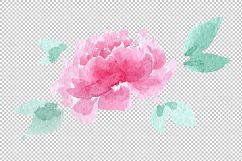 Delicate colorful peony PNG watercolor set Product Image 5