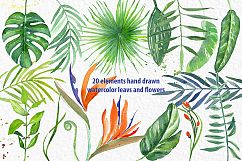 Tropical leaves branches Watercolor Product Image 3