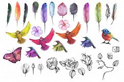 Watercolor bird, feathers, flowers Product Image 4