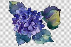 Hydrangea purple and blue PNG watercolor set Product Image 2