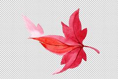 Colorful autumn leaves watercolor png set Product Image 6