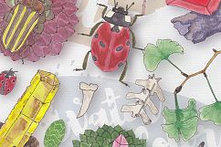 Watercolor Creatures vol. 1 Product Image 4