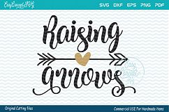 Raising Arrows Product Image 1