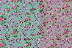 Drawn Flower Patterns and Elements Product Image 8