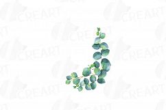 Eucalyptus leaves and branches watercolor clip art pack, Eucalyptus design elements. PNG, jpg, svg, vector illustrator &amp; corel files included Product Image 5