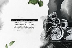 Watercolor memories - 125 PS brushes Product Image 3