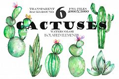 Watercolor Cactuses clipart Product Image 2