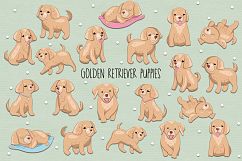 Golden Retrievers Product Image 1