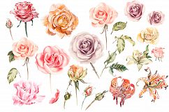 Hand Drawn Watercolor Bundle FLOWERS Product Image 6