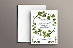 Ivy Vector Illustrations Product Image 2