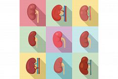 Kidney icons set, flat style Product Image 1