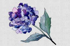 Hydrangeas flowers PNG watercolor set Product Image 2