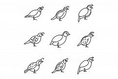 Quail bird icons set, outline style Product Image 1