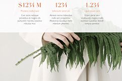 Minimal Store PowerPoint Template Product Image 19