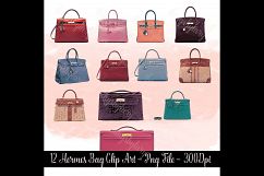 12 Painted Luxury Bags Clip Arts, Fashion and Roses Clip Art Product Image 2