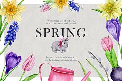 Spring Product Image 1