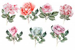 Hand drawn watercolor roses 2 Product Image 4