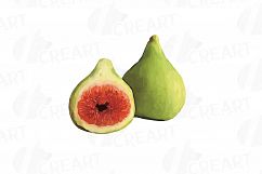 Watercolor Fig clip art pack,common fig leaves, fig fruit Product Image 23