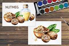Nutmeg. Watercolor collection Product Image 5