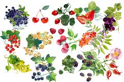 Watercolor fruits and berries Product Image 2