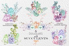 Succulents watercolor clip art., vol. 2 Product Image 2